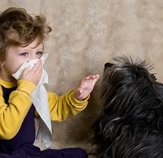 Kleines Mädchen mit Hundehaarallergie