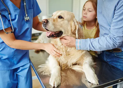 Familie mit dem Hund beim Tierarzt