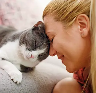 So zeigt Dir Deine Katze, dass sie Dich mag Katze zeigt ihre Liebe