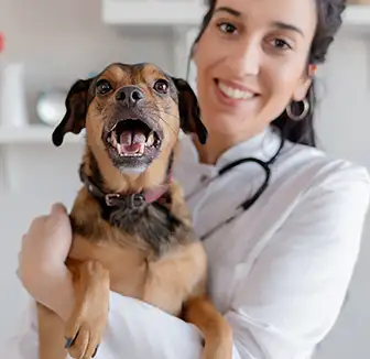 Glückliche Tierärztin mit gesundem Mischlingshund