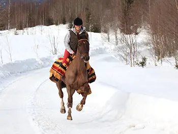 Frau beim Ausritt im Winter