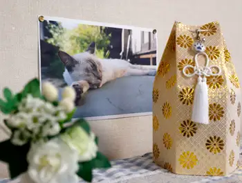 Urne einer Katze mit ihrem Foto im Hintergrund