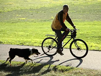 Fahrradfahrer mit Hund an der Leine