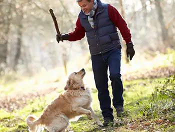 Stöckchenspielen mit dem Hund