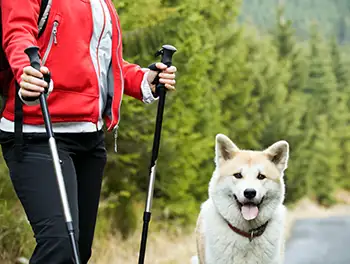 Nordic Walking mit Hund