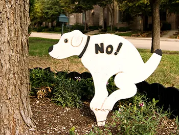 Schild mit Verbot für Hunde