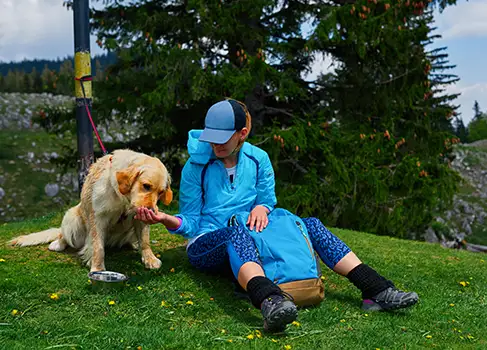 Mit dem Hund wandern - wie sieht es mit der Fütterung unterwegs aus? Der Hund bekommt während der Pause Futter