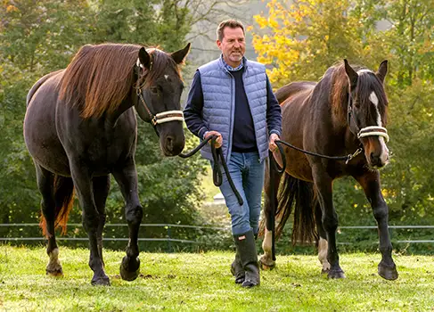 Pferdeexperte Ralf Becker führt zwei Pferde über die Weide