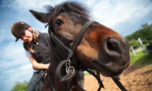 Mädchen reitet Pony – Ponyhaftpflichtversicherung mit Beritt