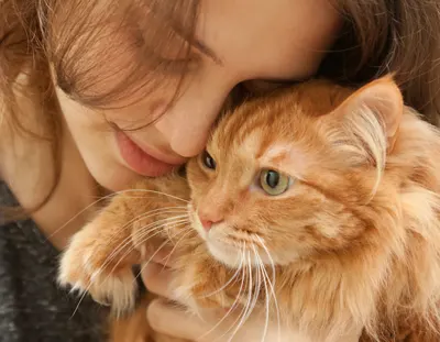 Frau kuschelt mit ihrer Katze