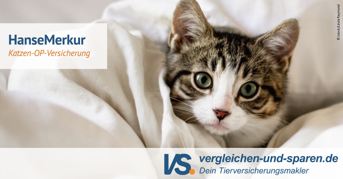 HanseMerkur KatzenOPVersicherung schon ab 4,94 € VS.