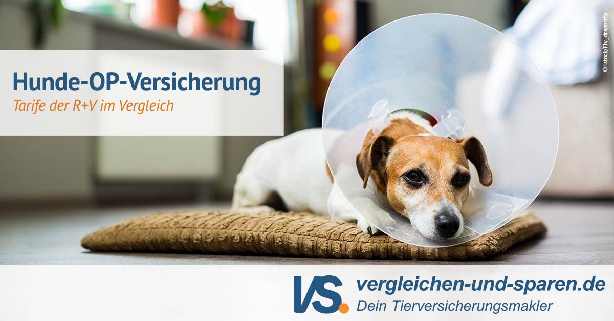 R+V HundeOPVersicherung ab 8,00 € │ VS.