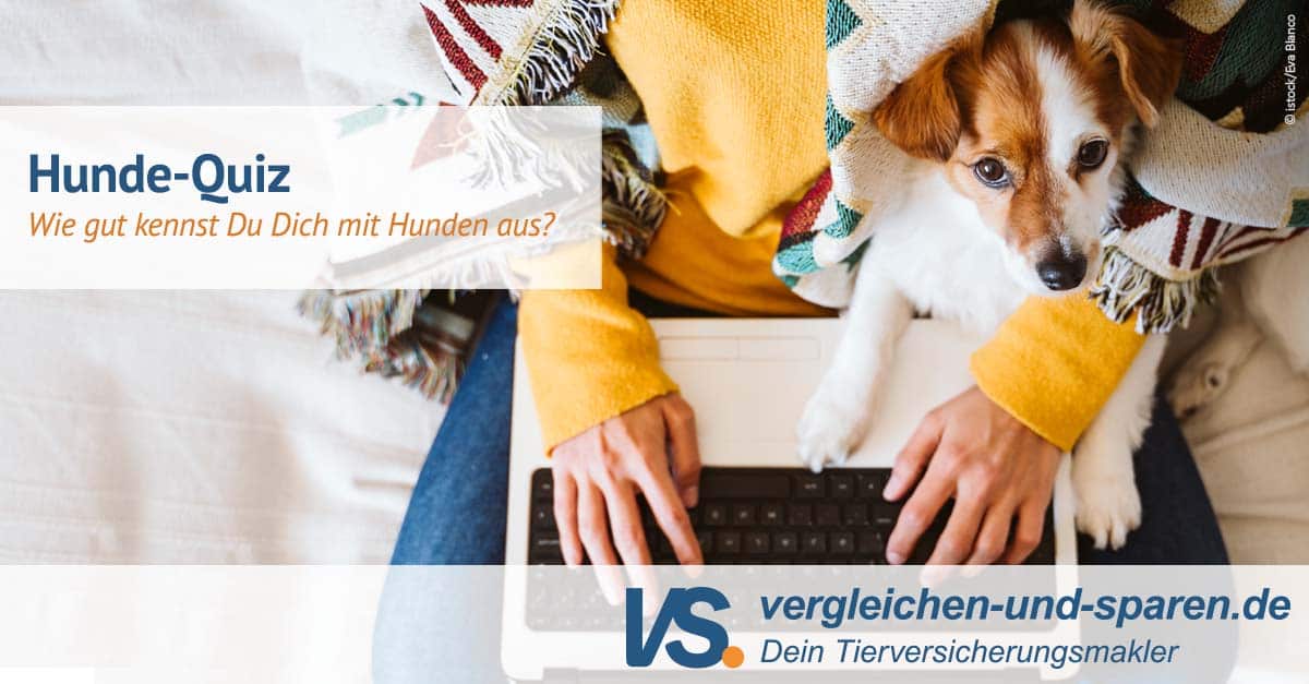 HundeQuiz Bist Du bereit für die Sachkundeprüfung? VS.