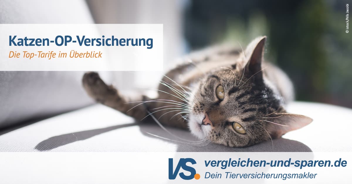 KatzenOPVersicherung im Test die Testsieger!