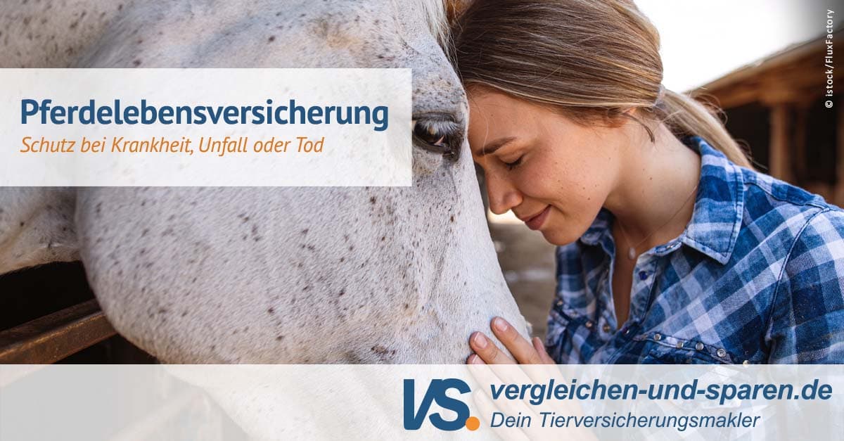 Pferdelebensversicherung: bis 25 % Jungtier-Rabatt| VS.