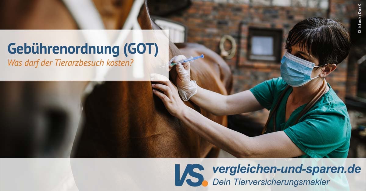GOT - Gebührenordnung für Tierärzte (Pferde) | VS.
