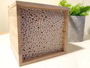 Niströhrchen einfüllen