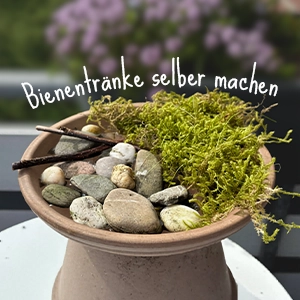 DIY Bienentränke