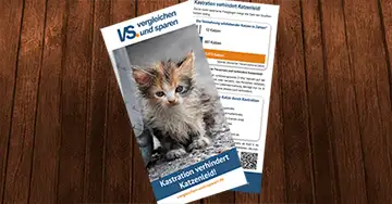 Abbildung unseres Flyers zum Thema Kastration bei Katzen