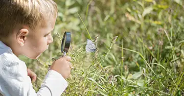 Schmetterlingen helfen Junge beobachtet einen Schmetterling mit der Lupe