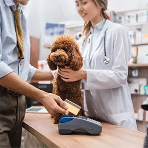 Die Tierarztgebühren für die Untersuchung eines Pudels werden mit der EC-Karte beglichen