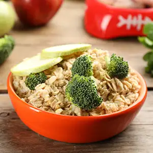 Hundenapf gefüllt mit Haferflocken und Brokkoli