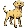 Icon: Hund