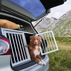 Verreisen mit Hund Hund liegt bei geöffneter Tür in seiner Autobox, im Hintergrund Berge