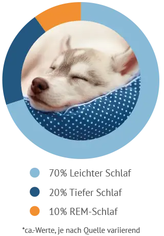 Schlafrhythmus beim Hund Grafik: Schlafphasen beim Hund