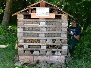 Insektenhotel umgeben von Steinen