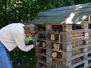 Unsere Mitarbeiterin befüllt das Insektenhotel