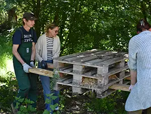 Unser Team trägt das Insektenhotel auf seinen neuen sonnigen Platz
