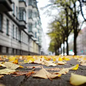 Herbstlaub auf dem Bürgersteig