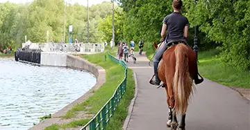 Frau reitet ein Pferd auf einem Weg in der Natur.