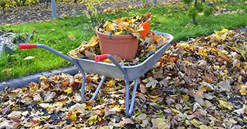 Haus und Garten Schubkarre gefüllt mit Laub im Vorgarten
