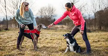 zwei Frauen trainieren mit Hunden auf einer herbstlichen Wiese