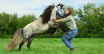 Ein Pferd sprint eine Frau an