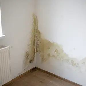 Schimmel an der Wand