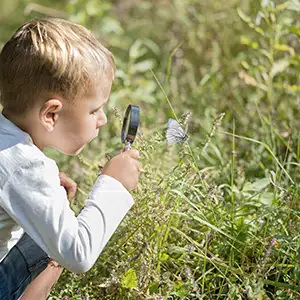 Kleiner Junge beobachtet einen Schmetterling mit der Lupe