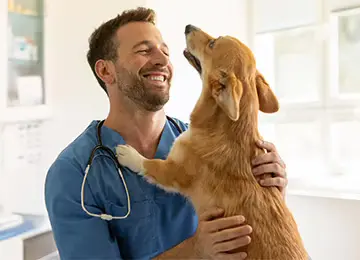 Lachender Tierarzt mit Hund