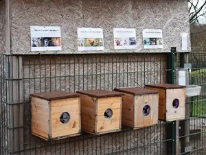 Ein Tierheim wie aus dem Bilderbuch Aufnehme der Fühlboxen am Tierheim Dorsten