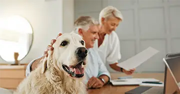 Tierverfügung Heller Hund, im Hintergrund ein Pärchen beim Erstellen der Tierverfügung