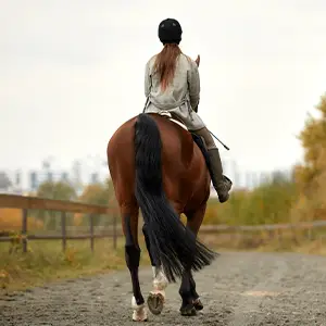 Unberechtigte Reiter: Warum du haftest und wie du es verhinderst Reiterin reitet auf dem Pferd weg