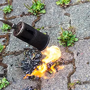 Unkraut auf dem Gehweg wird abgebrannt