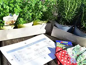 Kräuter neben einem Pflanzplan
