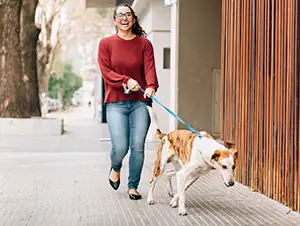 Hafte ich als Hundehalter für Schäden bei Fremdhütung? Hundesitterin mit Hund beim Spaziergang