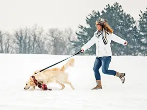 Spaziergang mit Hund im Schnee