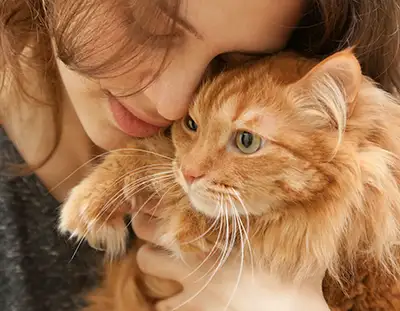 Frau schmust mit ihrer Katze