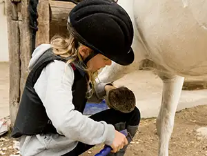 Kinder ans Pferd gewöhnen Mädchen reinigt die Hufe des Pferdes