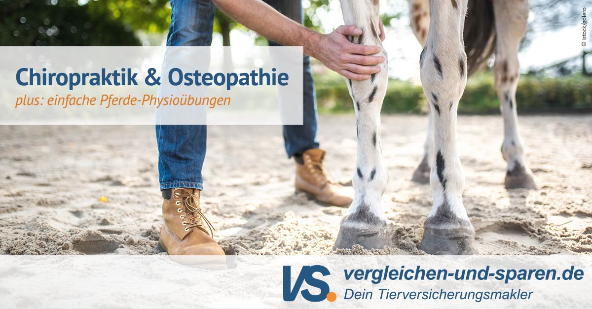 Stilvolle Unterschied Osteopathie Und Chiropraktik Bild